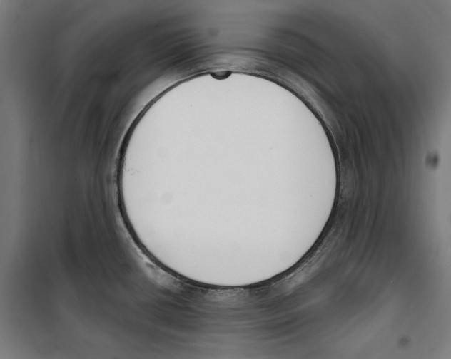 X0000100321434200807031200