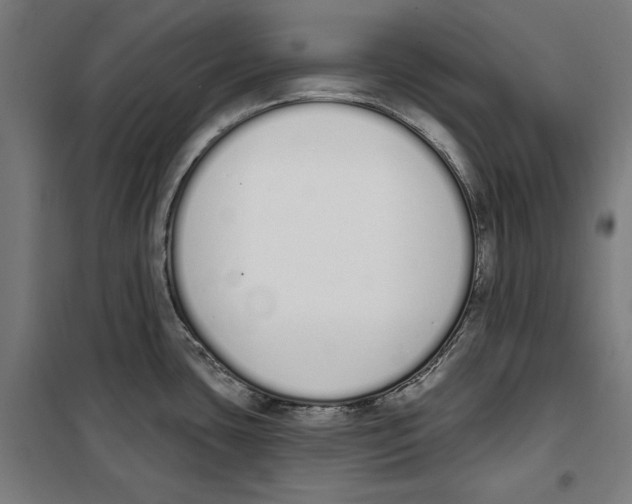 X0000100321435200807031200