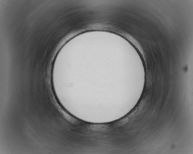 X0000100321437200807031200