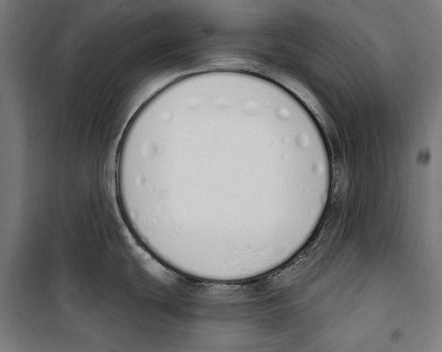 X0000100321439200807031200