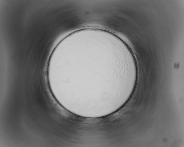 X0000100321440200807031200