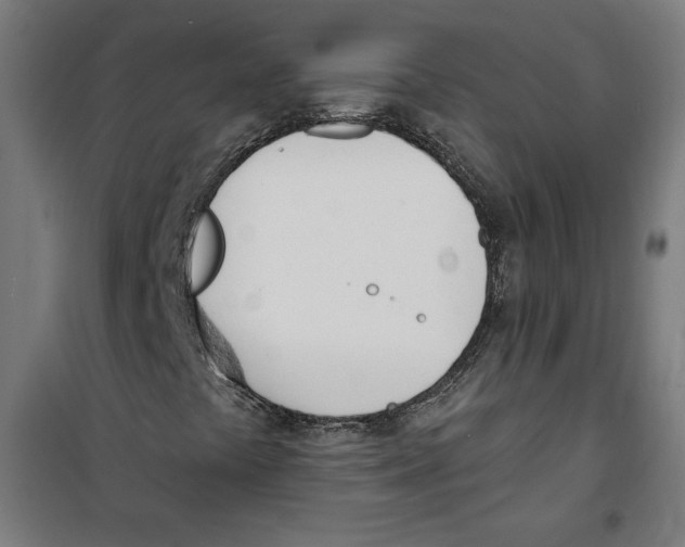 X0000100321441200807031159