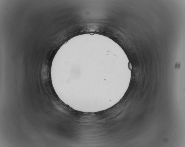 X0000100321442200807031159