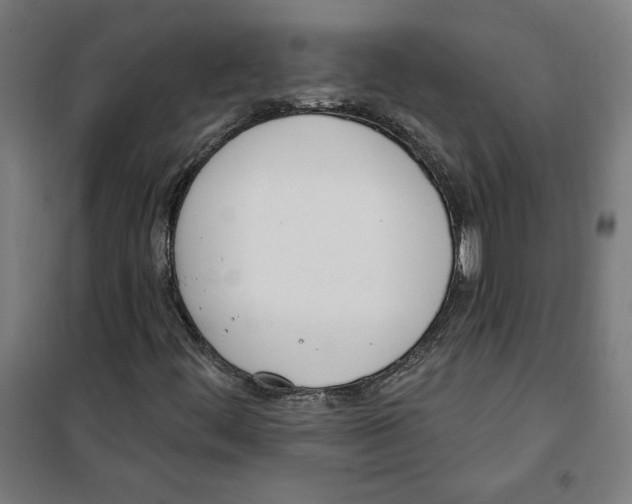 X0000100321444200807031159