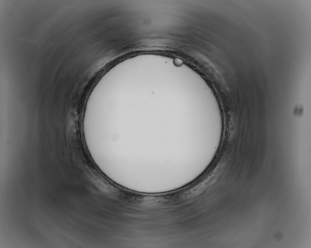 X0000100321449200807031159