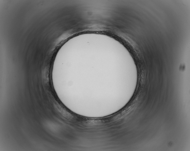 X0000100321451200807031159