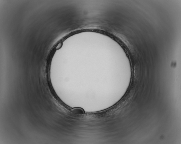 X0000100321452200807031159