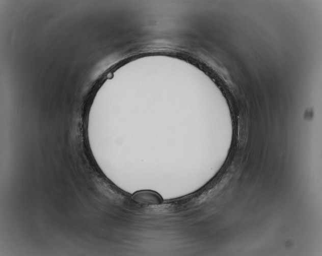 X0000100321453200807031159