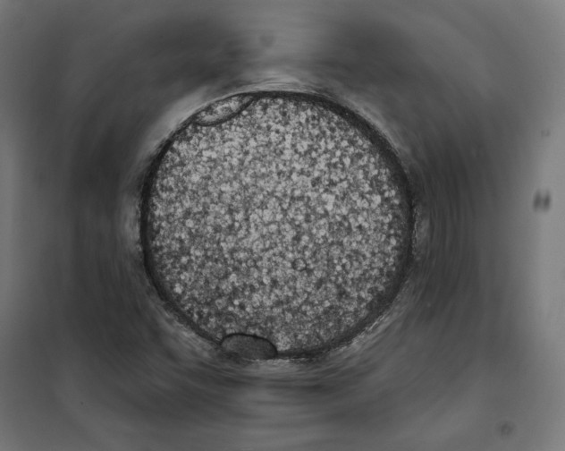 X0000100321455200807031159