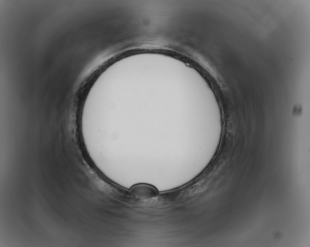 X0000100321456200807031159