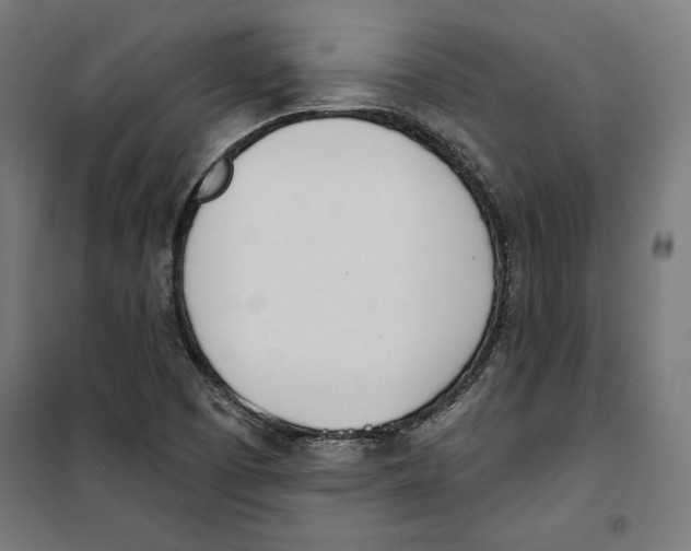 X0000100321457200807031159