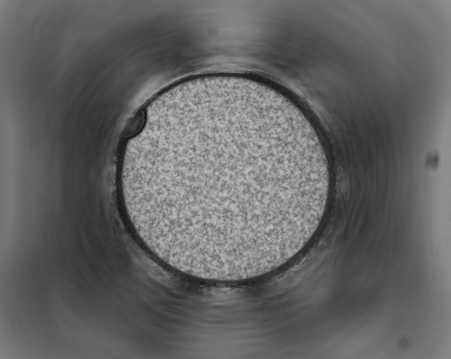 X0000100321459200807031159