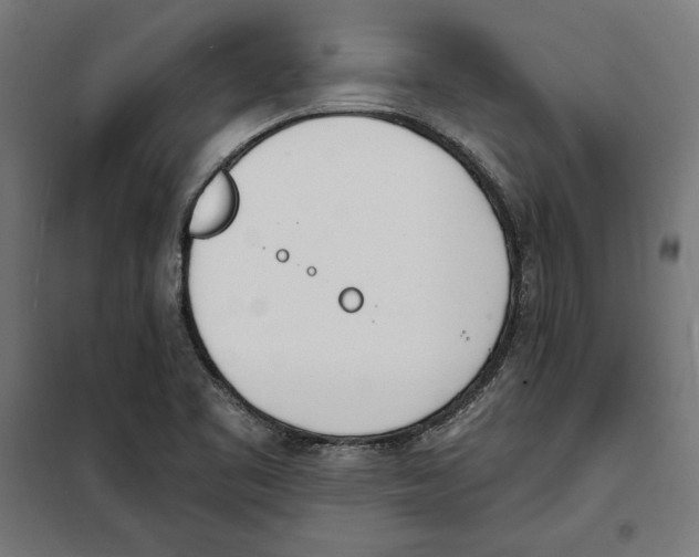 X0000100321461200807031159