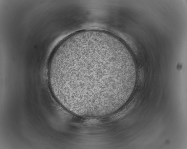 X0000100321462200807031159