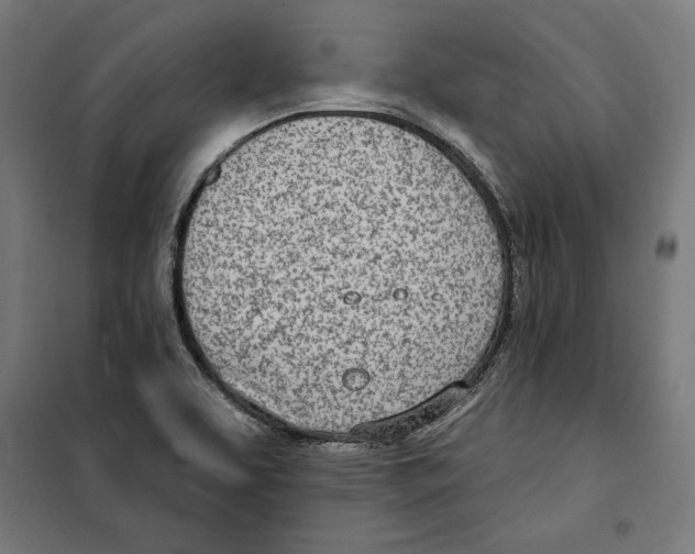 X0000100321463200807031159