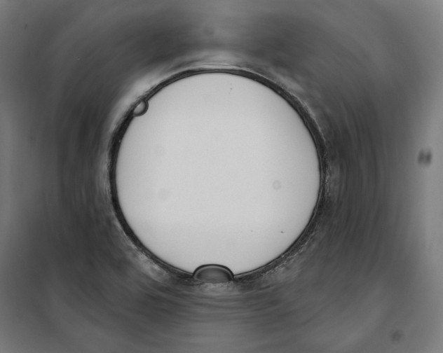 X0000100321464200807031159