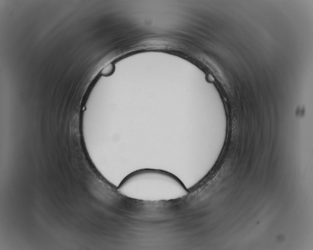 X0000100321465200807031159