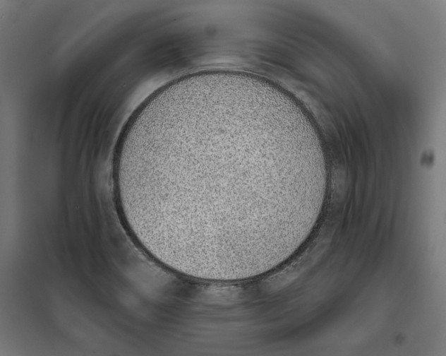 X0000100321466200807031159