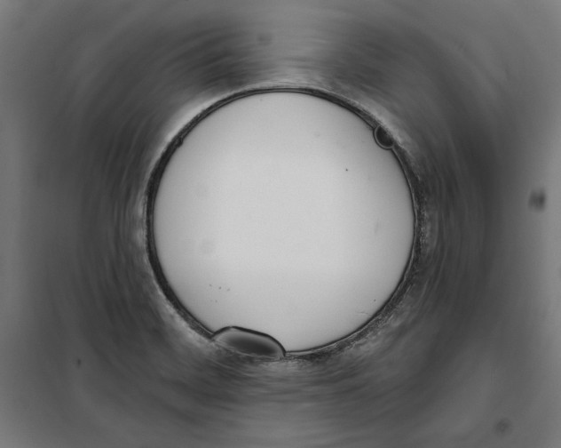 X0000100321468200807031159