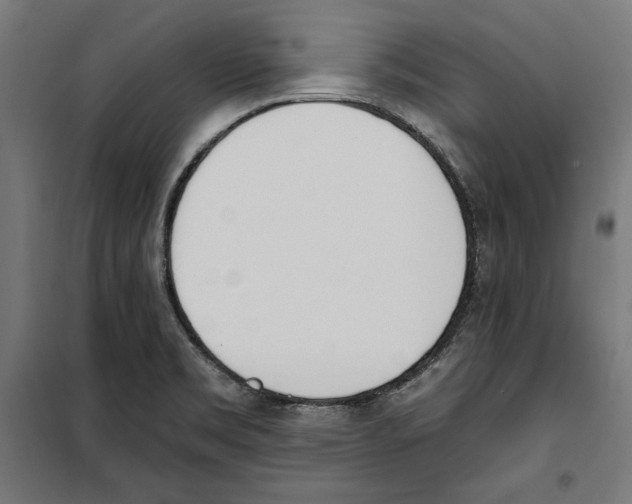 X0000100321469200807031159