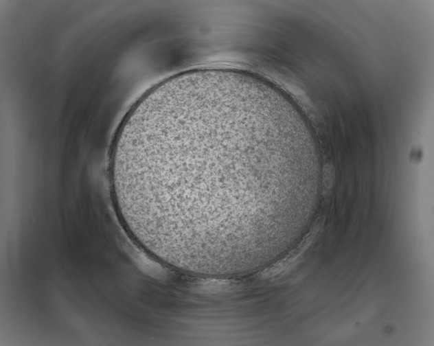 X0000100321470200807031159