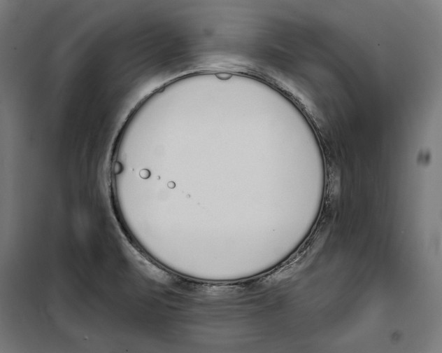 X0000100321471200807031159