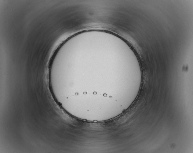 X0000100321472200807031159