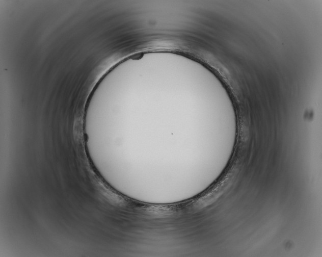 X0000100321473200807031159