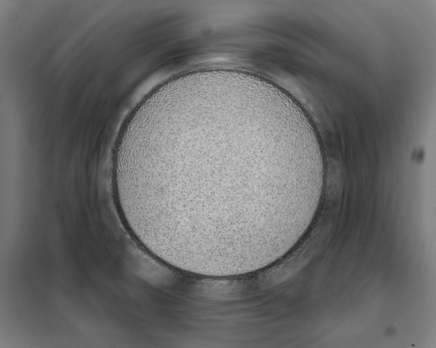 X0000100321474200807031159