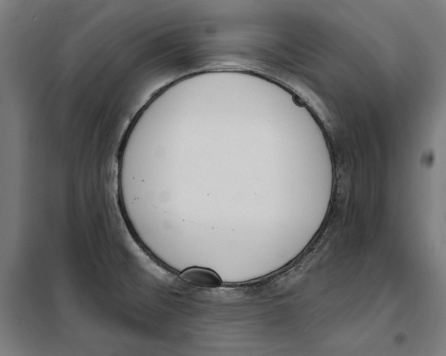 X0000100321476200807031159