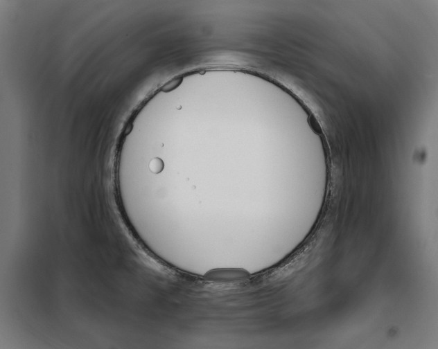 X0000100321477200807031159