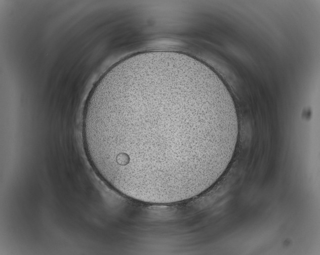 X0000100321478200807031159