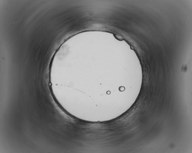 X0000100321479200807031159