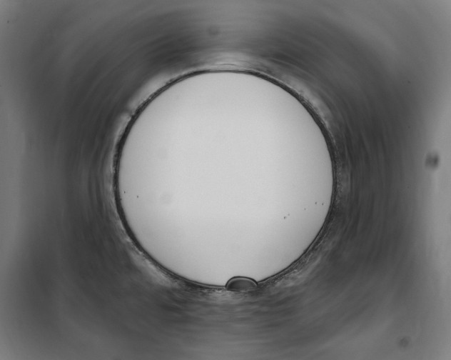 X0000100321480200807031159