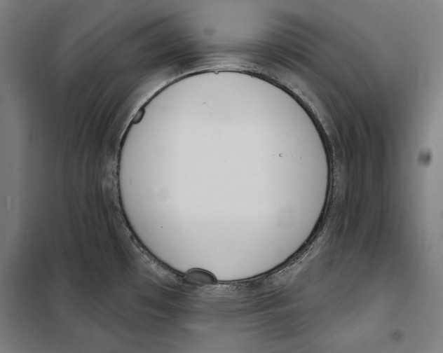 X0000100321481200807031159