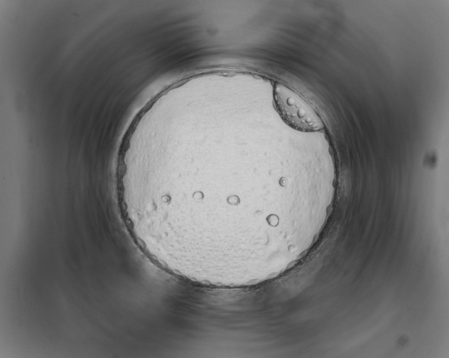 X0000100321482200807031159