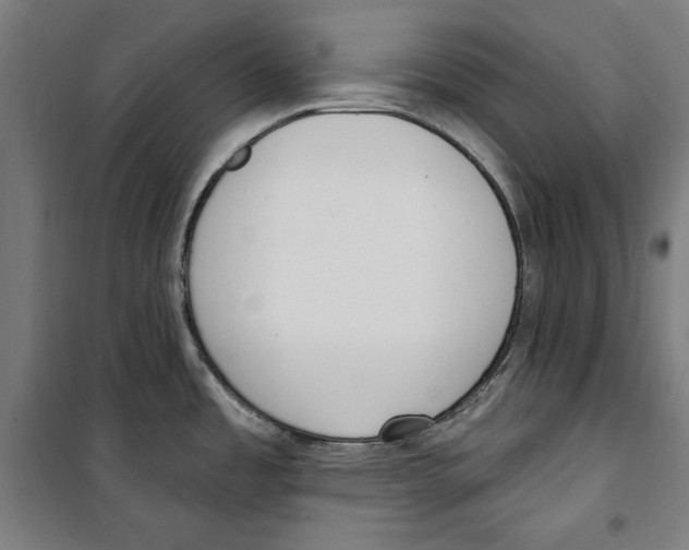 X0000100321485200807031158