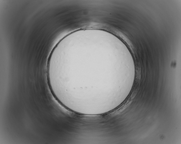 X0000100321487200807031158