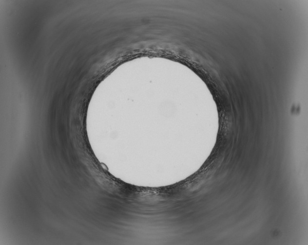 X0000100321489200807031158