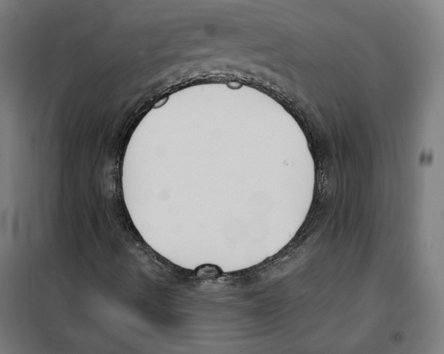 X0000100321490200807031158