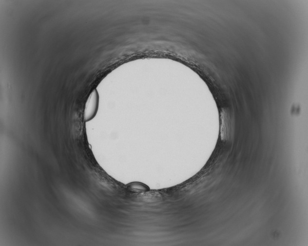 X0000100321491200807031158