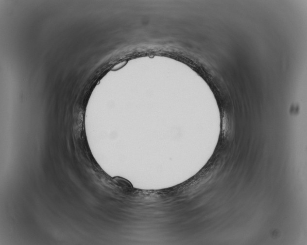 X0000100321492200807031158