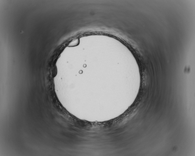 X0000100321494200807031158