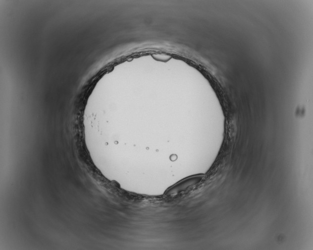 X0000100321496200807031158