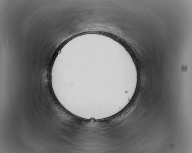 X0000100321497200807031158