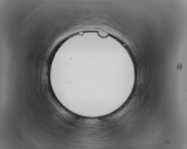 X0000100321498200807031158