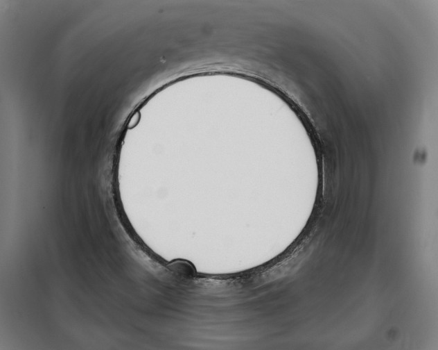 X0000100321500200807031158