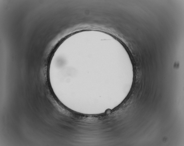 X0000100321503200807031158