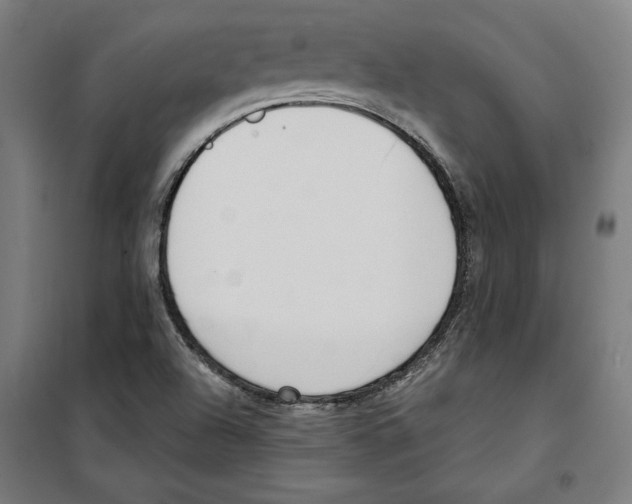 X0000100321504200807031158