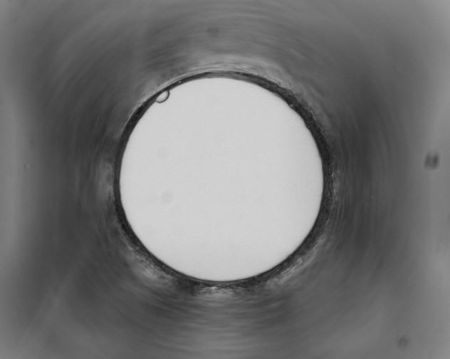 X0000100321505200807031158